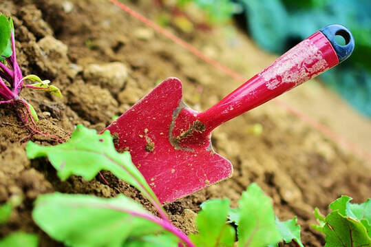 Gardening tools used to weed and cultivate
